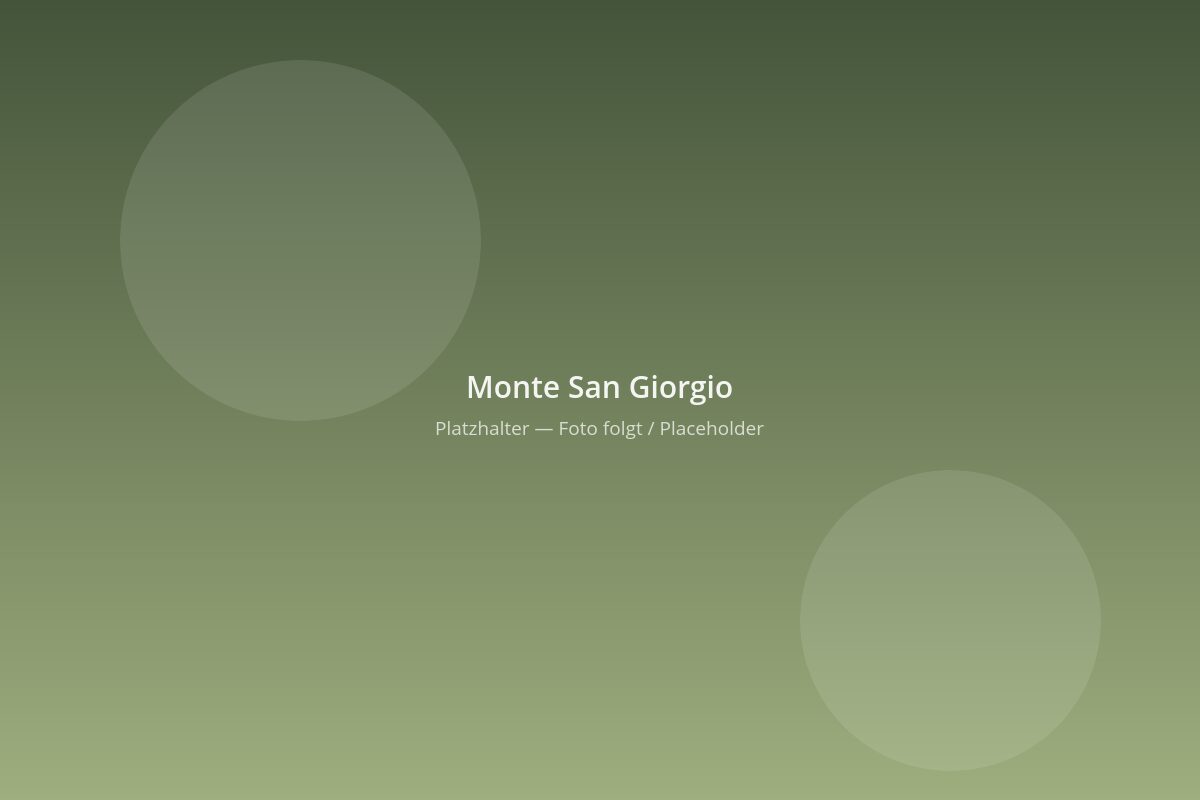 Wanderweg am Monte San Giorgio im Herbst